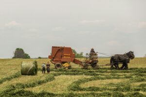 child sexual abuse cases against the amish community in pennsylvania