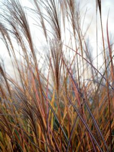 pennsylvania teen found after man charged with kipnapping